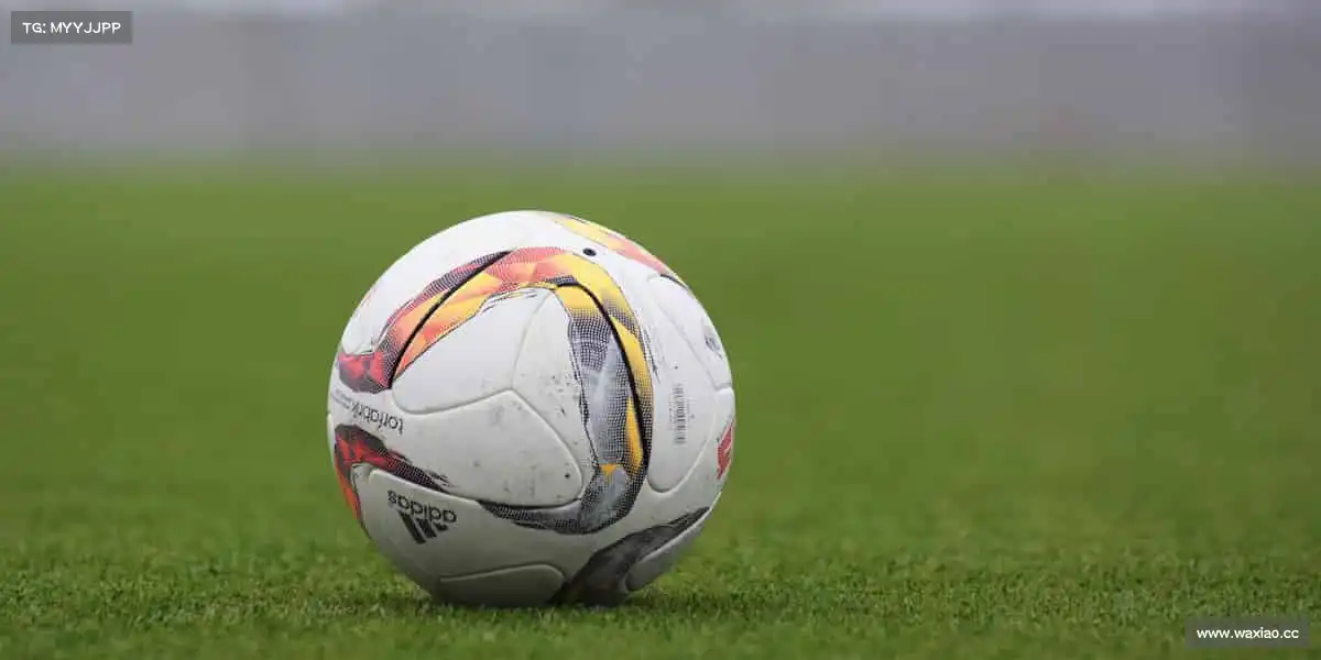 九游会j9——🏓⚡速度与技巧，一拍即合！